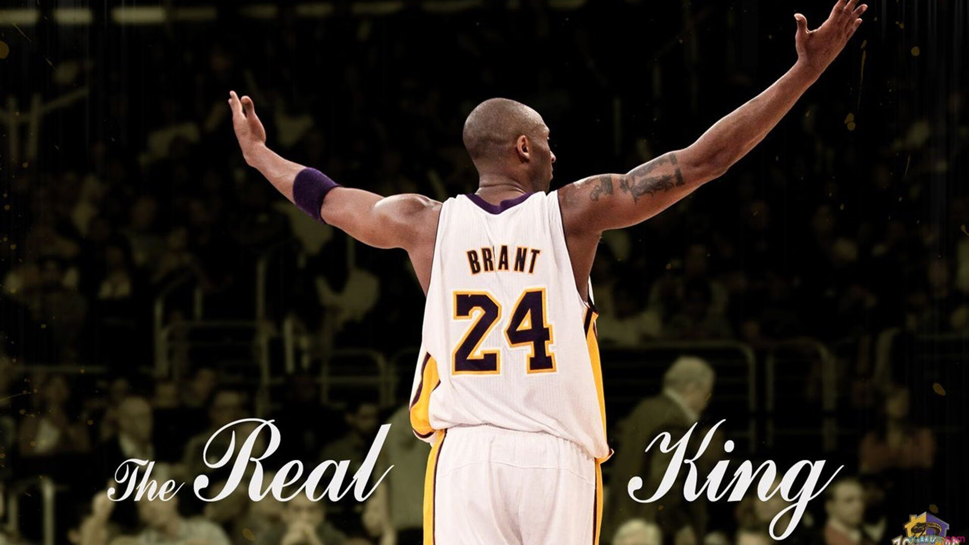 九游娱乐在线-“霍斯特:南非羚羊队的防守核心,带来胜利希望”